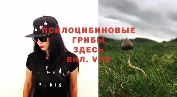 трава Абинск