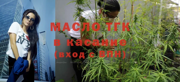 гидра Рославль